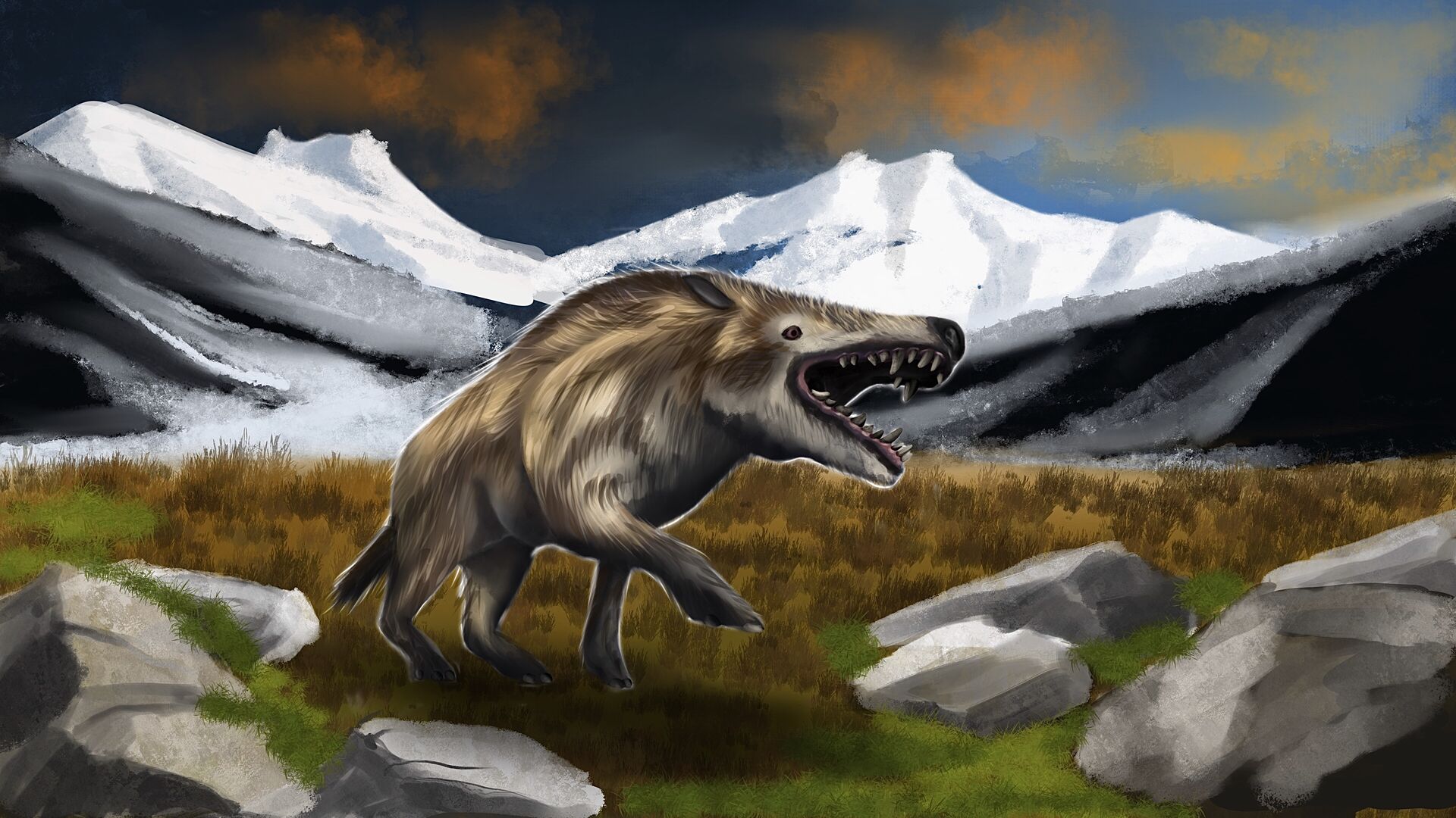Puzzlopedia | Puzzle Andrewsarchus (Cenozoic Era)