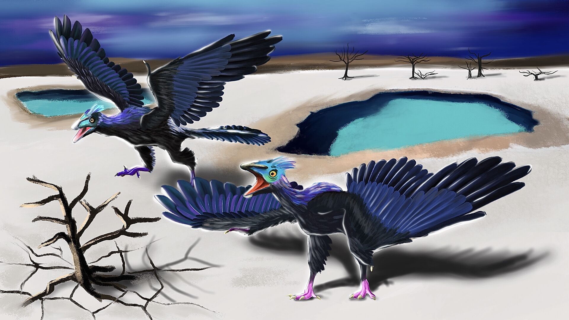 Puzzlopedia | Puzzle Archaeopteryx (Jurassic)