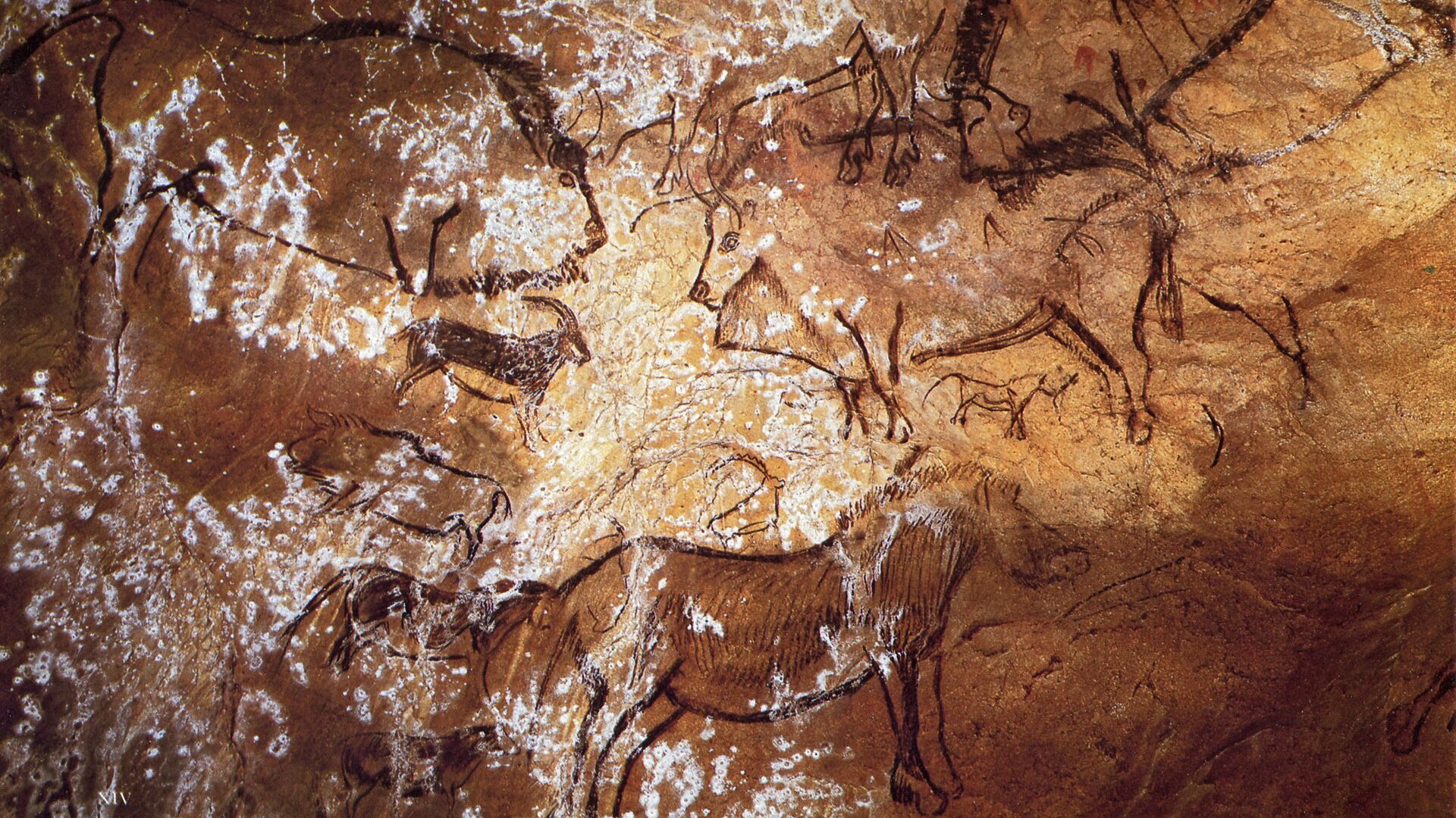 Puzzlopedia | Puzzle Cave of Niaux