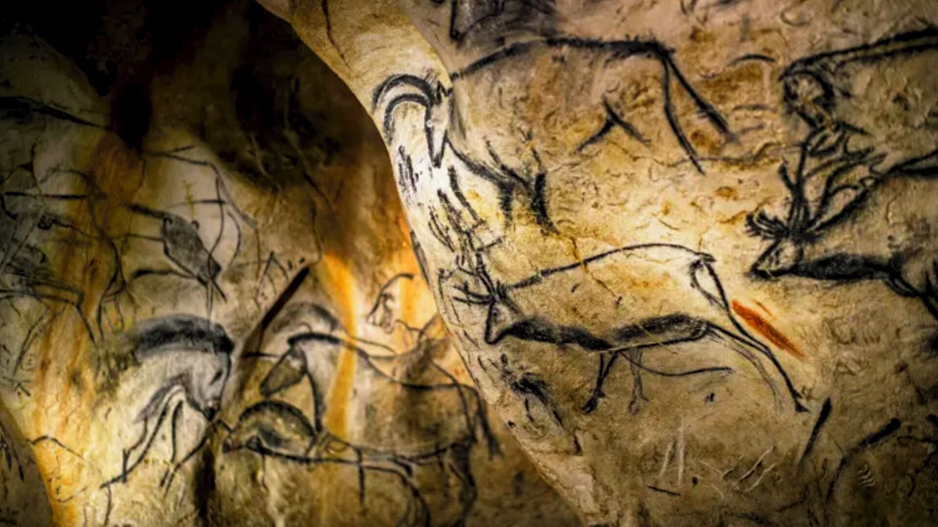 Puzzlopedia | Puzzle Chauvet cave