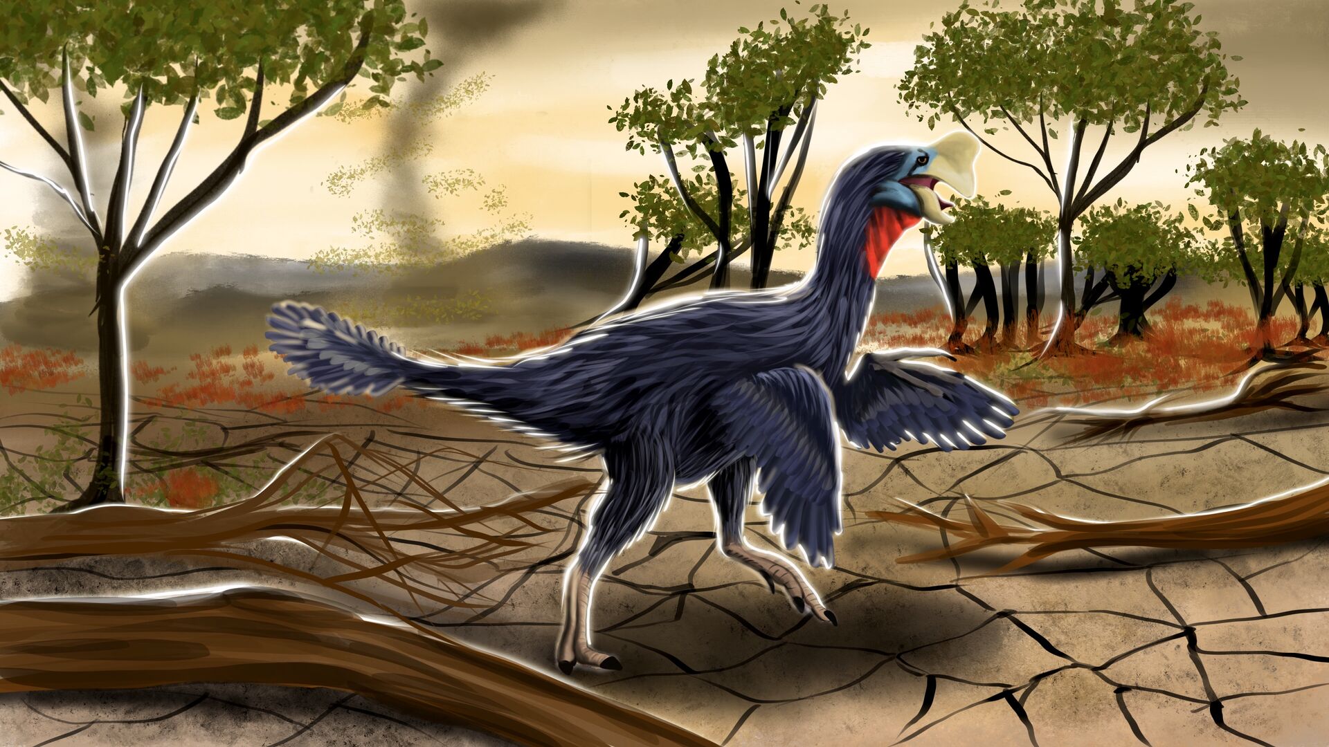 Puzzlopedia | Puzzle Citipati (Cretaceous)