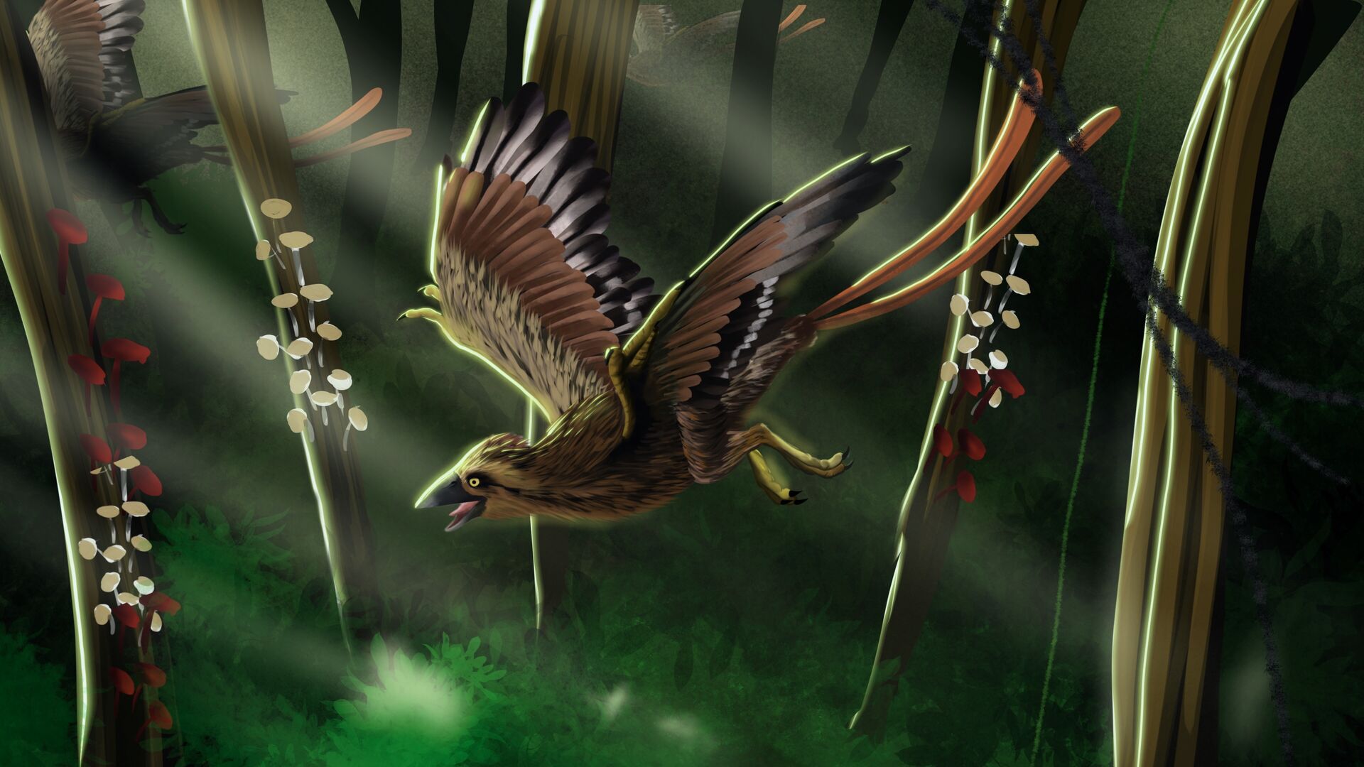 Puzzlopedia | Puzzle Confuciusornis (Cretaceous)