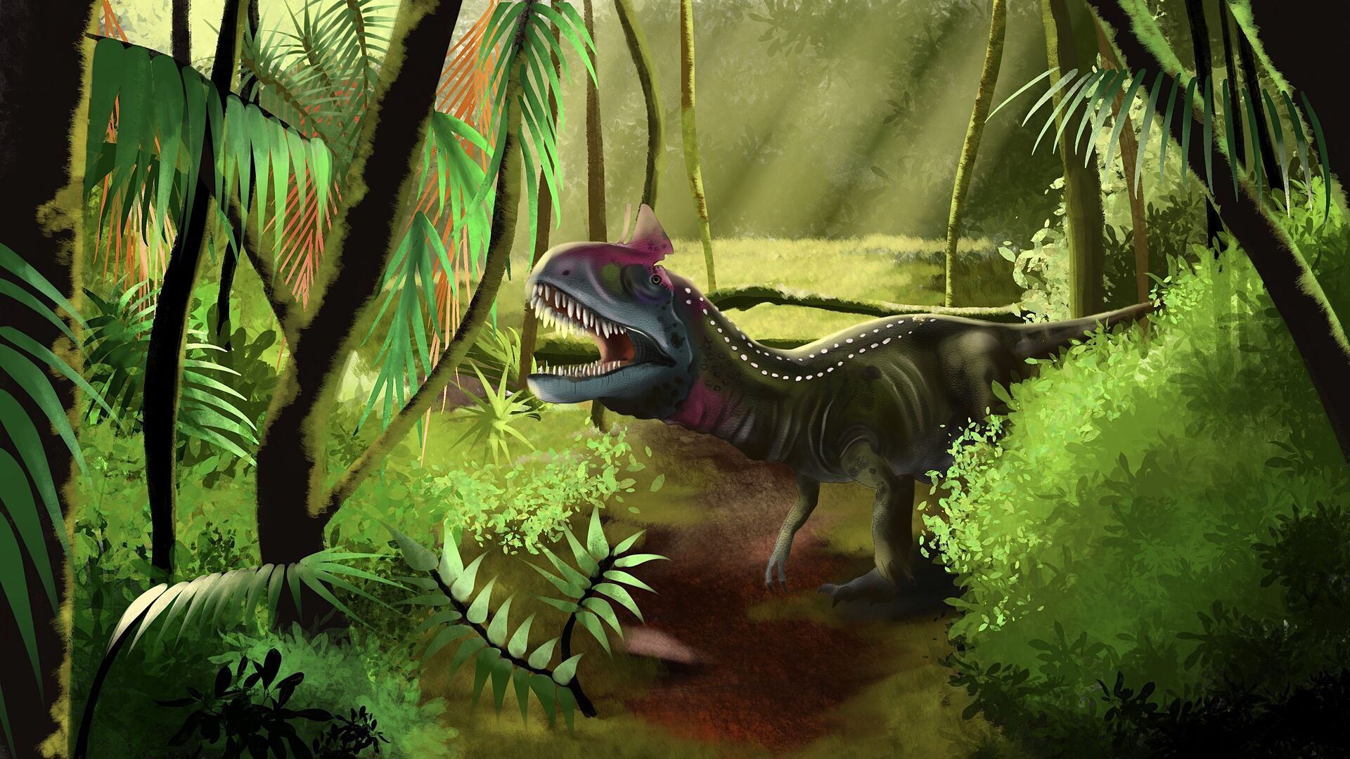 Puzzlopedia | Puzzle Cryolophosaurus (Jurassic)