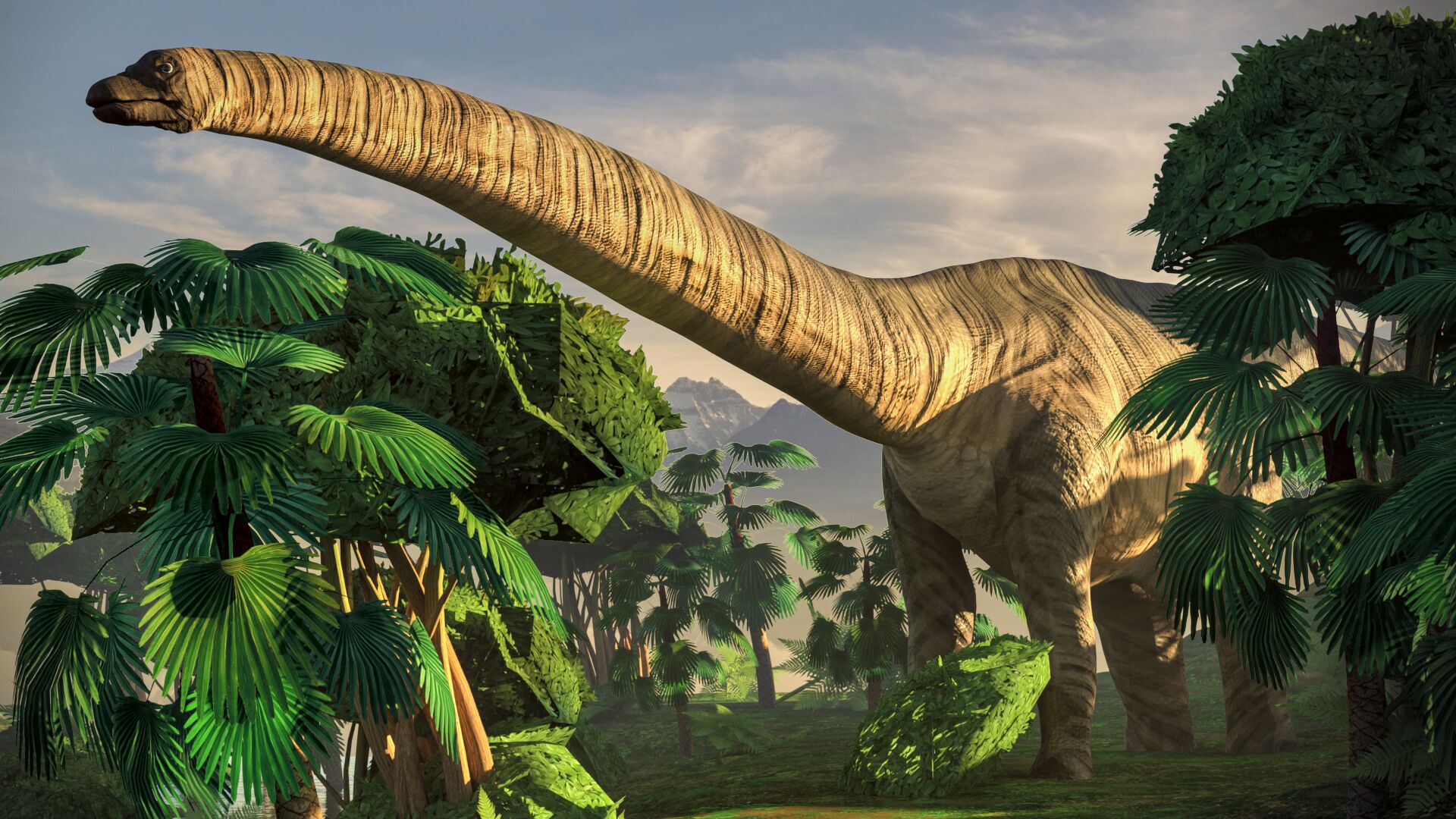 Puzzlopedia | Puzzle Diplodocus (Jurassic)