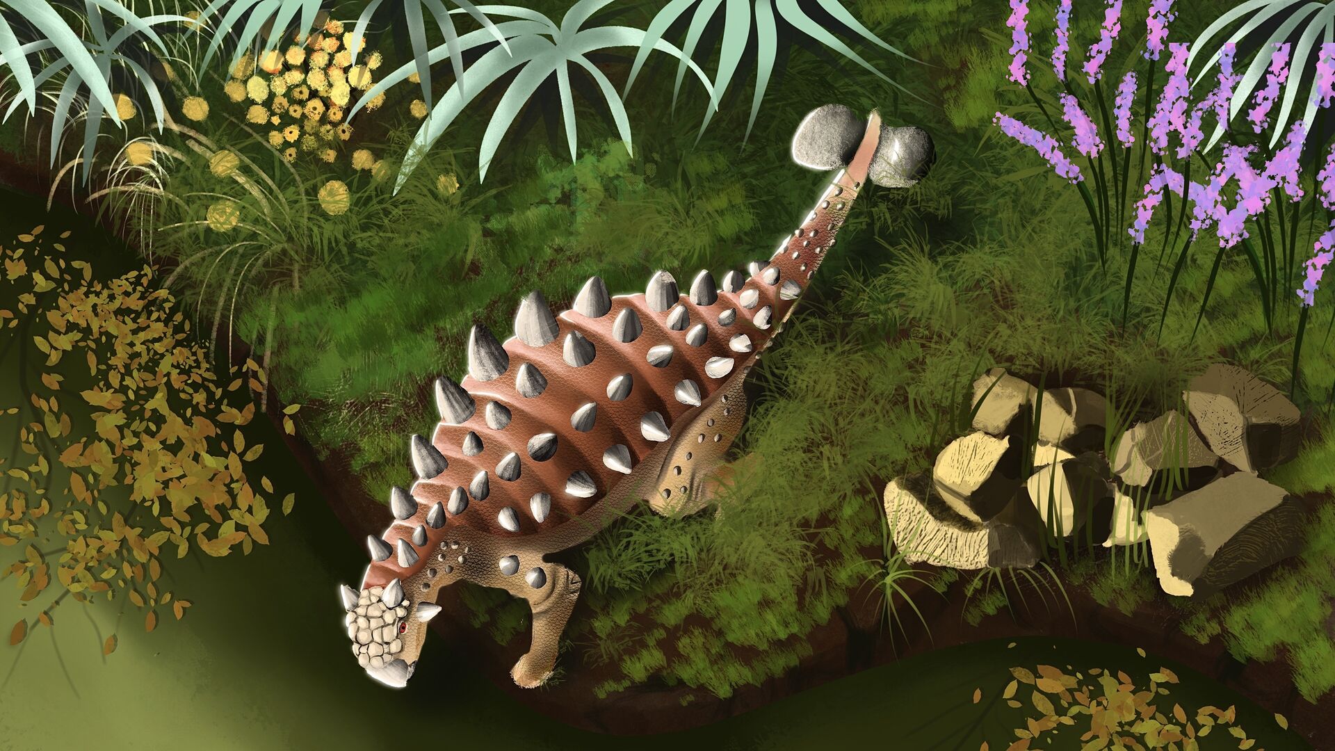 Puzzlopedia | Puzzle Euoplocephalus (Cretaceous)