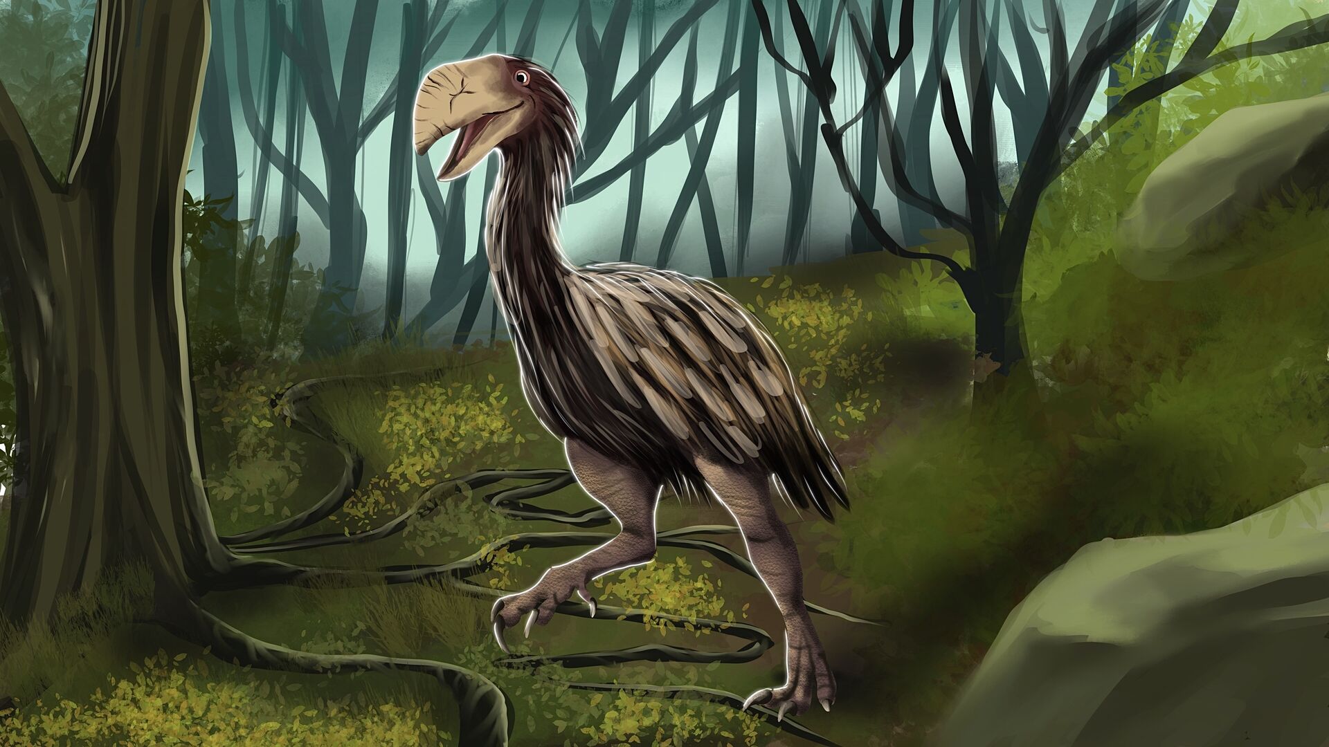 Puzzlopedia | Puzzle Gastornis (Cenozoic Era)
