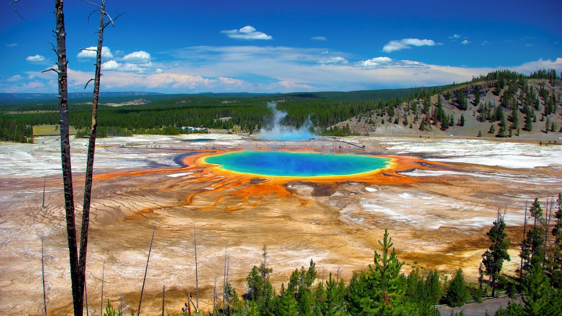 Puzzlopedia | Puzzle Grand prismatic spring (USA)
