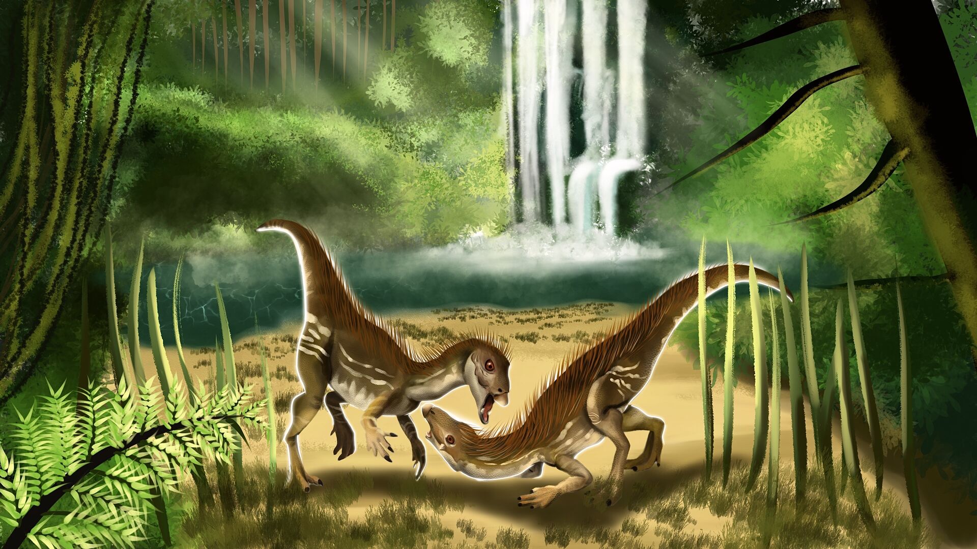 Puzzlopedia | Puzzle Heterodontosaurus (Jurassic)