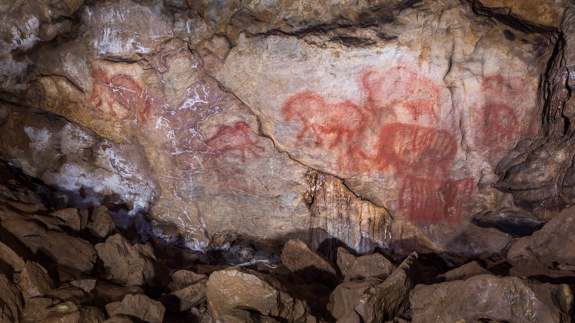 Puzzlopedia | Puzzle Kapova cave (Shulgan-Tash)