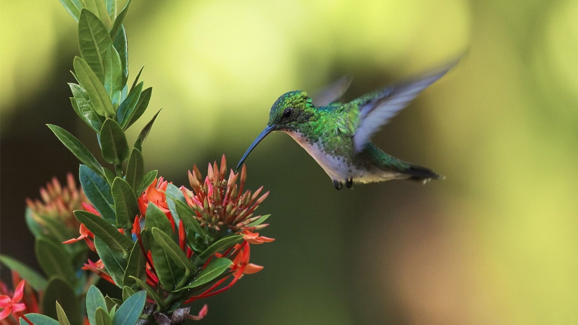 Puzzlopedia | Puzzle Keeping warm