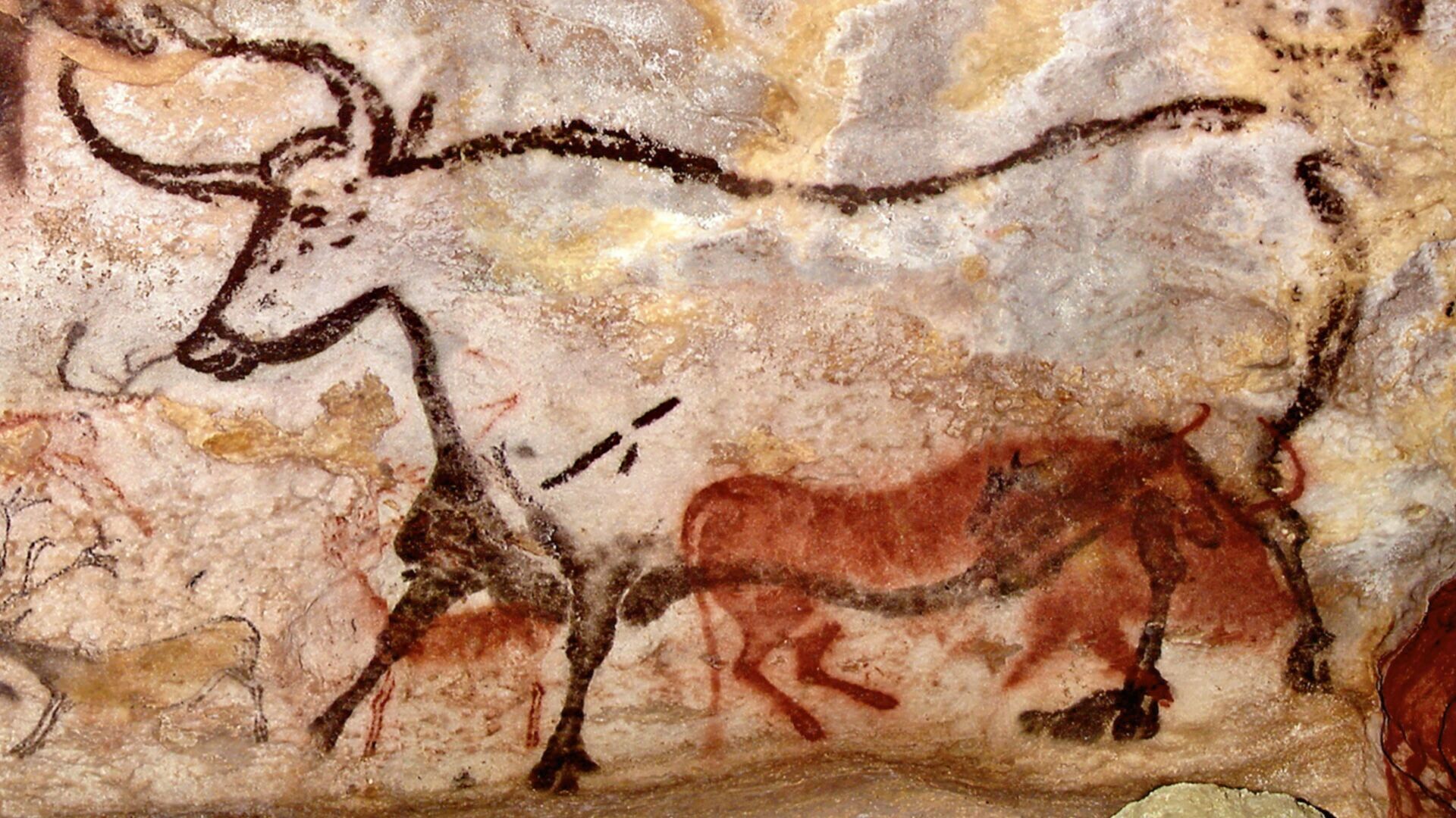 Puzzlopedia | Puzzle Lascaux cave