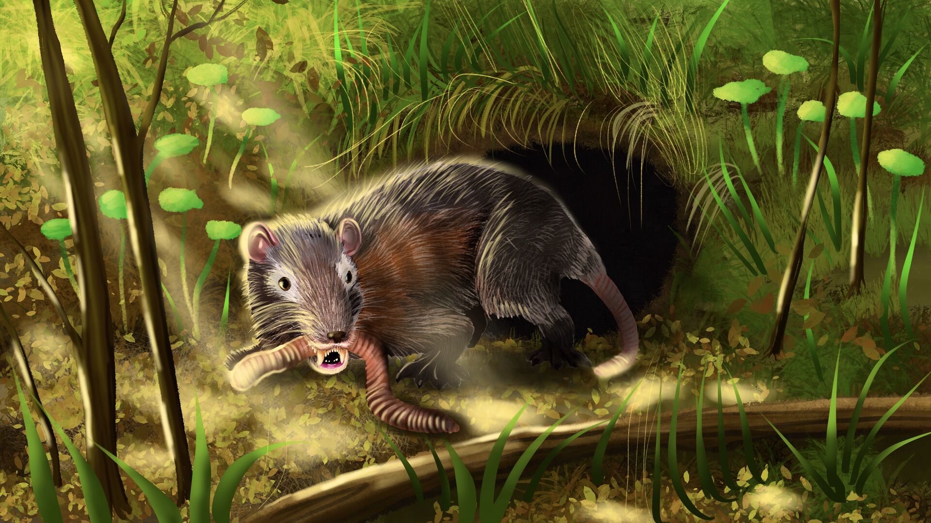 Puzzlopedia | Puzzle Megazostrodon (Jurassic)