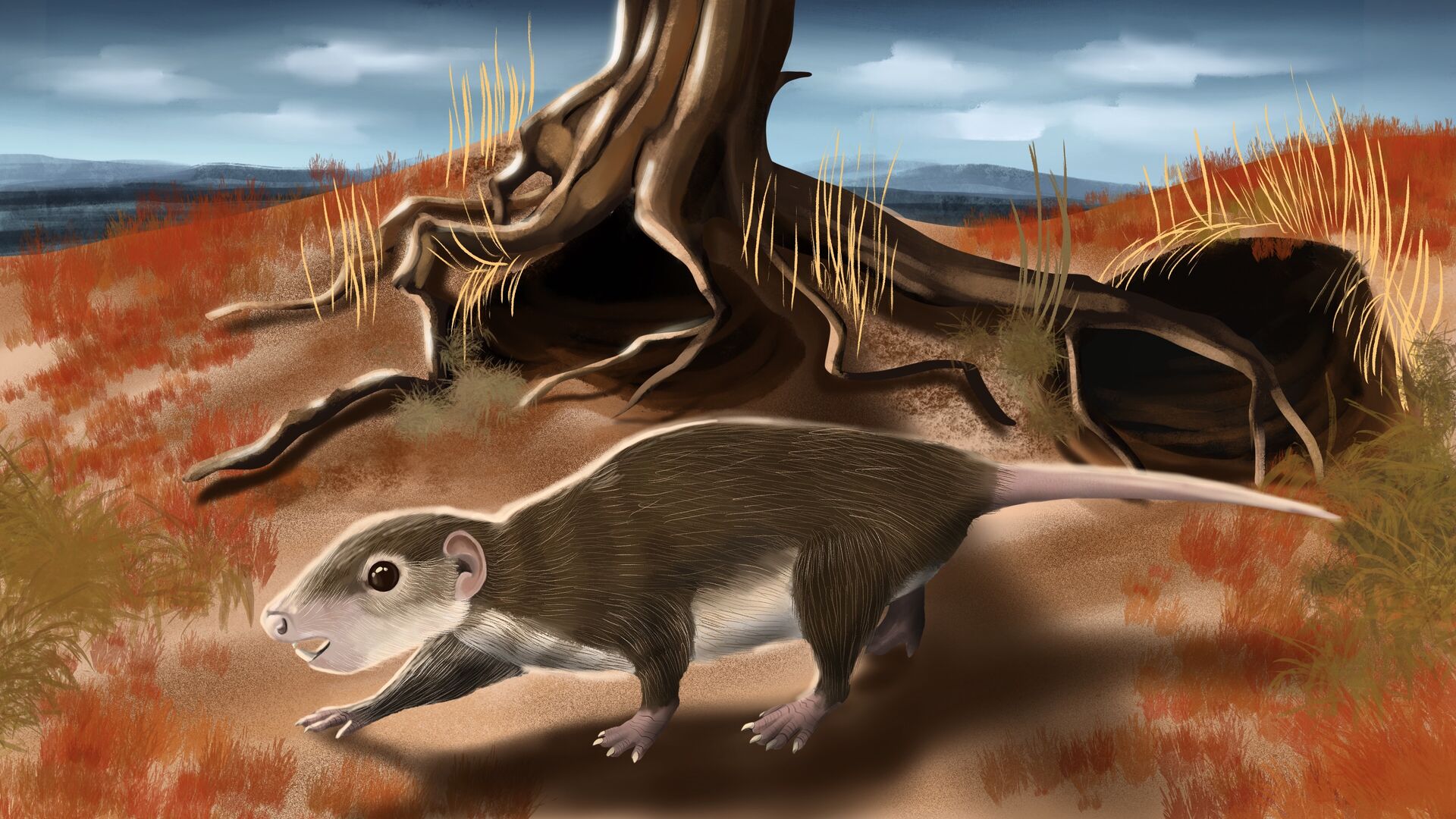 Puzzlopedia | Puzzle Nemegtbaatar (Cretaceous)