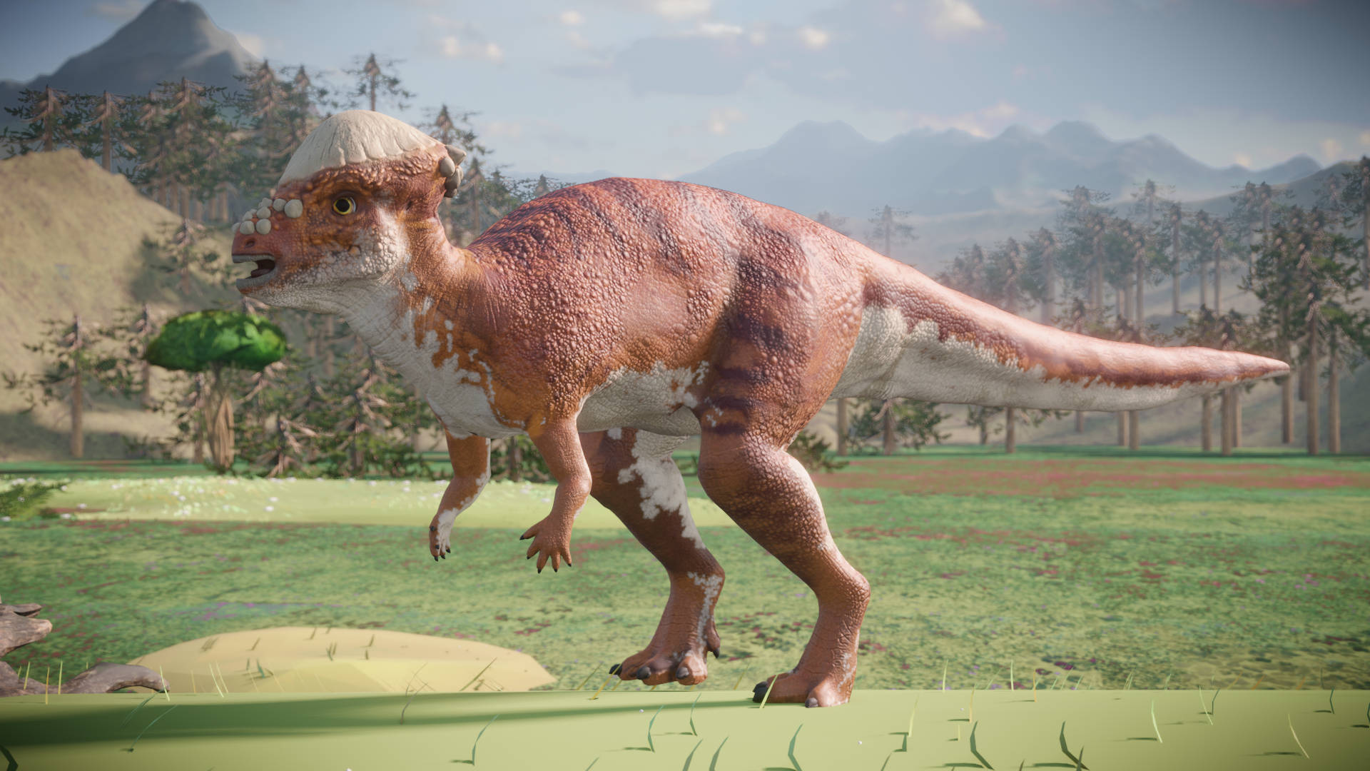 Puzzlopedia | Puzzle Pachycephalosaurus (Cretaceous)