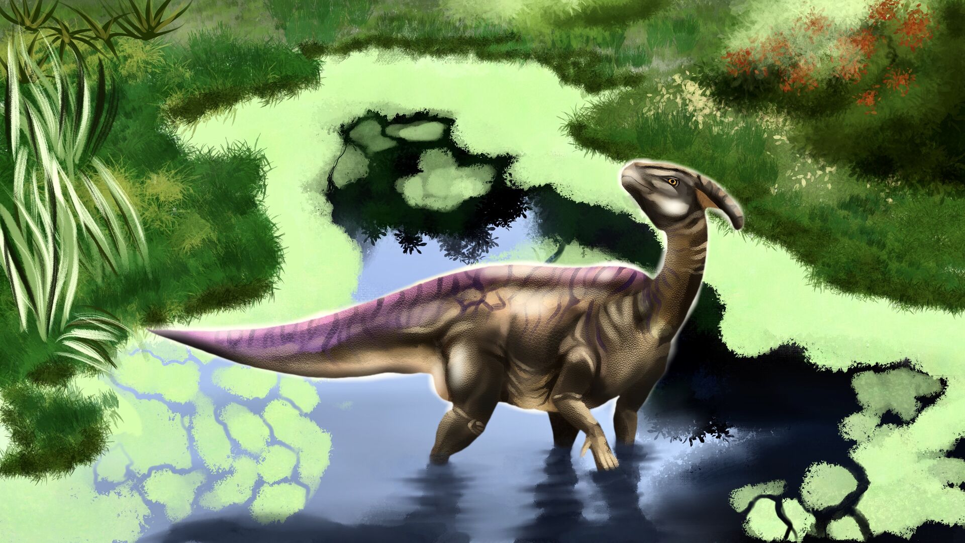 Puzzlopedia | Puzzle Parasaurolophus (Cretaceous)