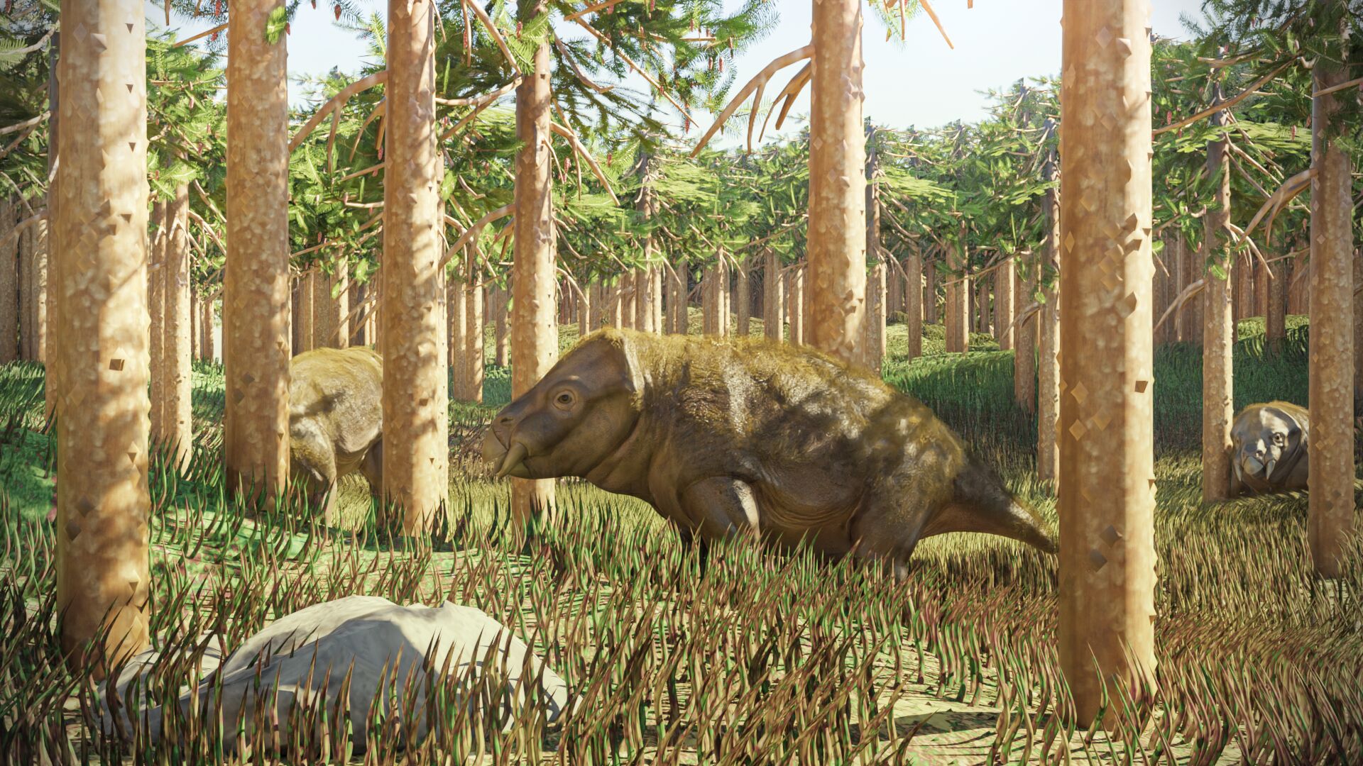 Puzzlopedia | Puzzle Placerias (Triassic)