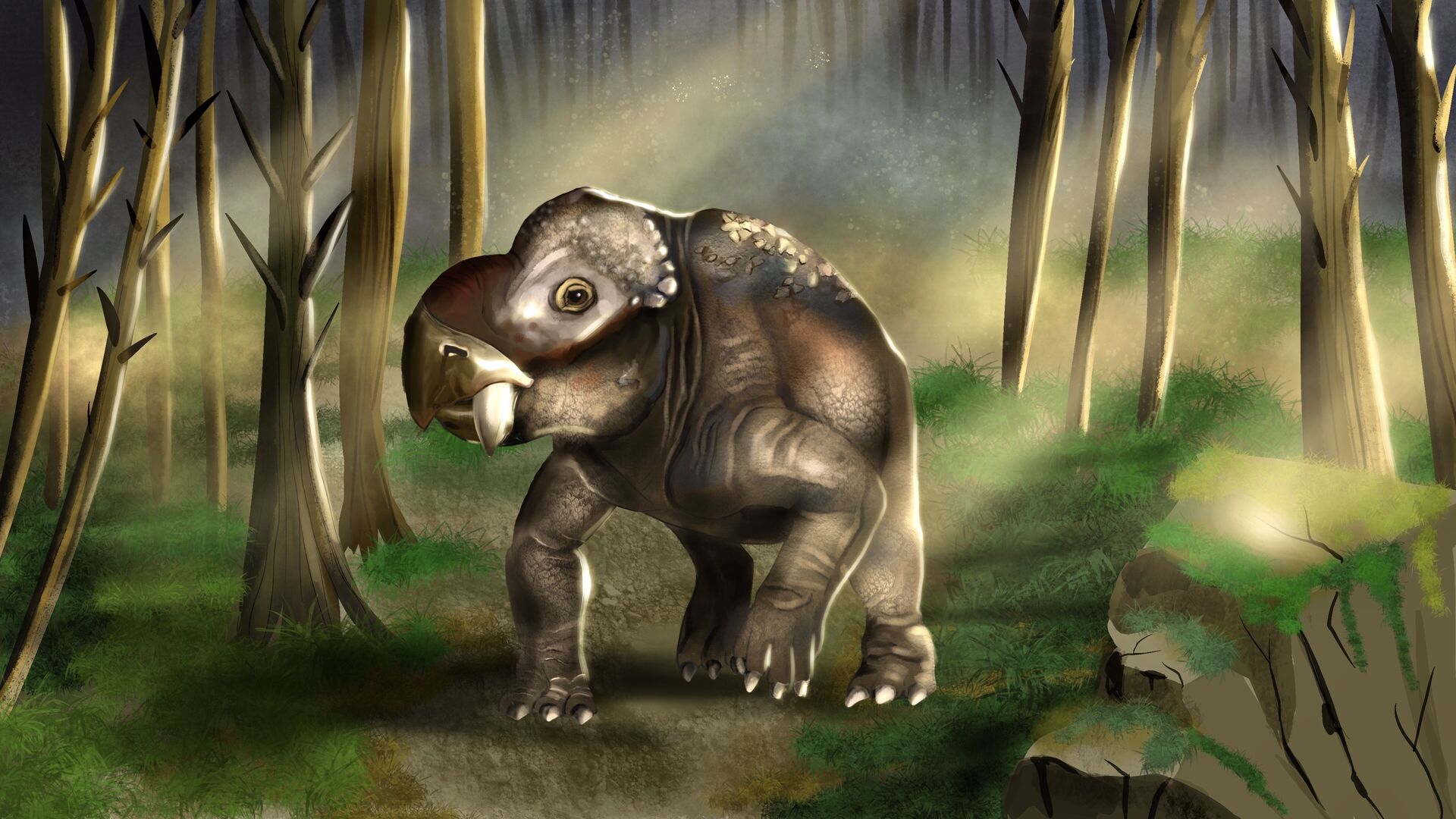 Puzzlopedia | Puzzle Placerias (Triassic)