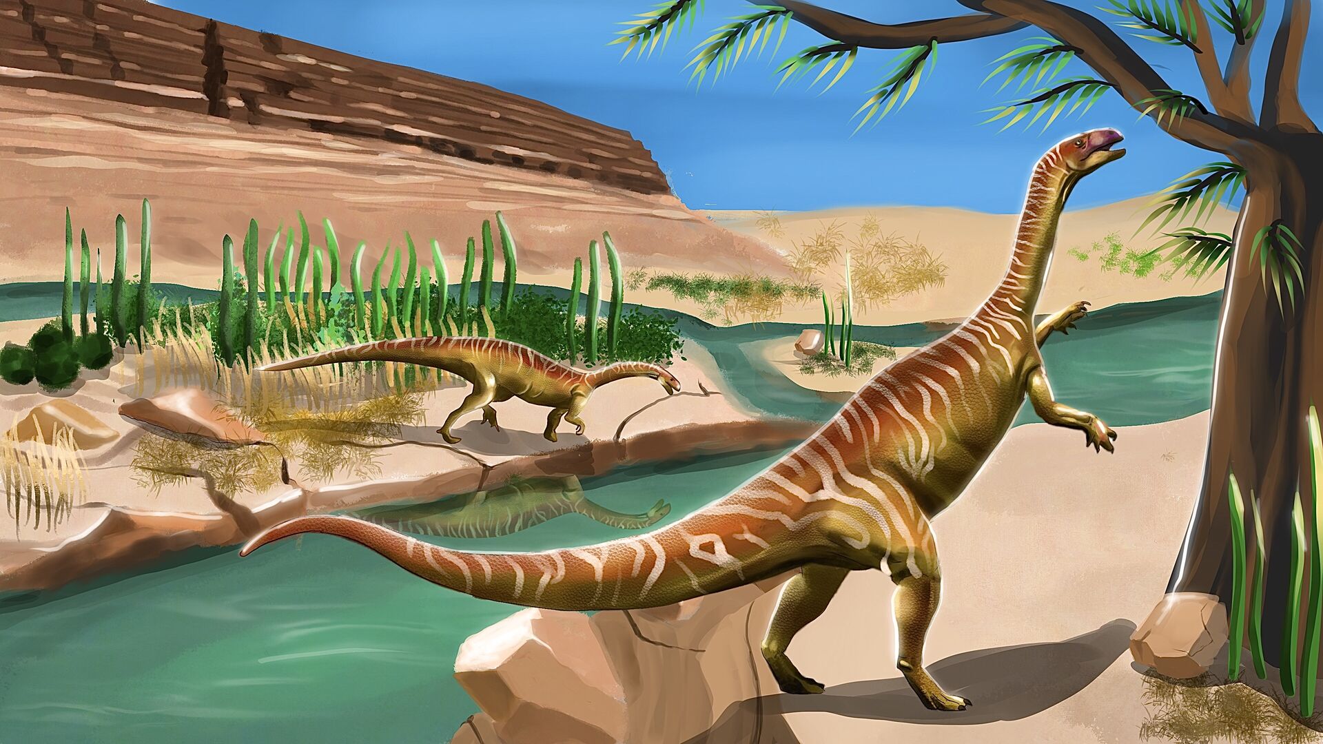 Puzzlopedia | Puzzle Plateosaurus (Triassic)