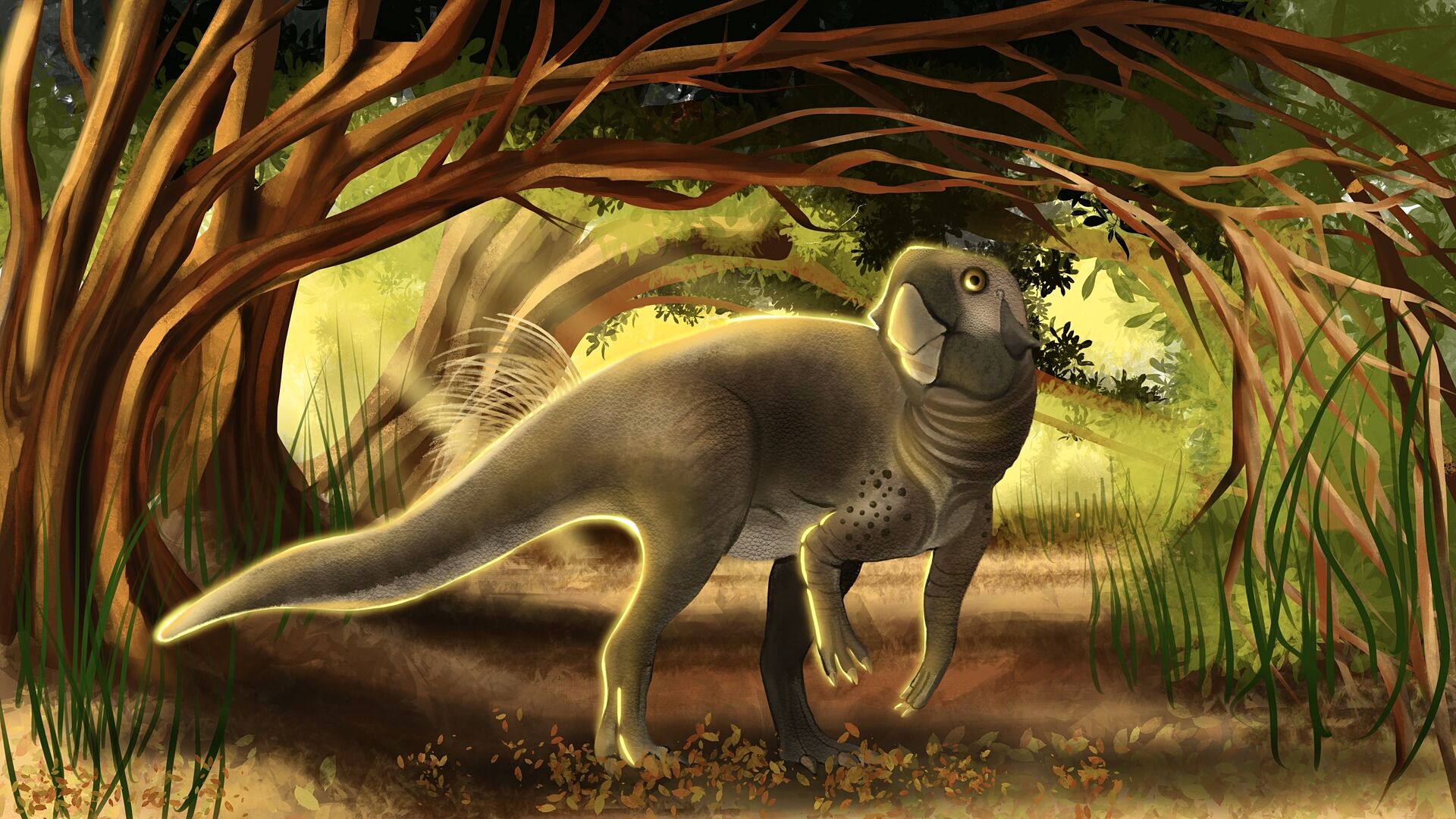 Puzzlopedia | Puzzle Psittacosaurus (Cretaceous)