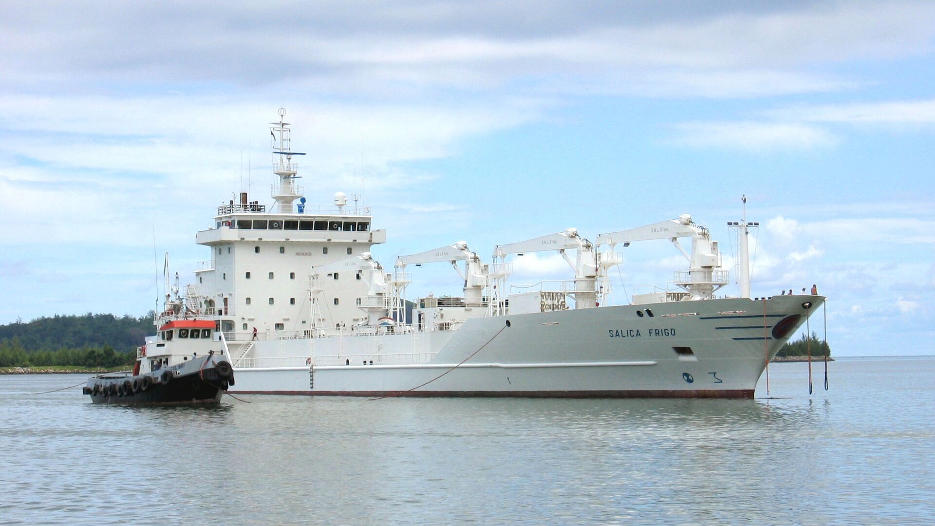 Puzzlopedia | Puzzle Reefer ship