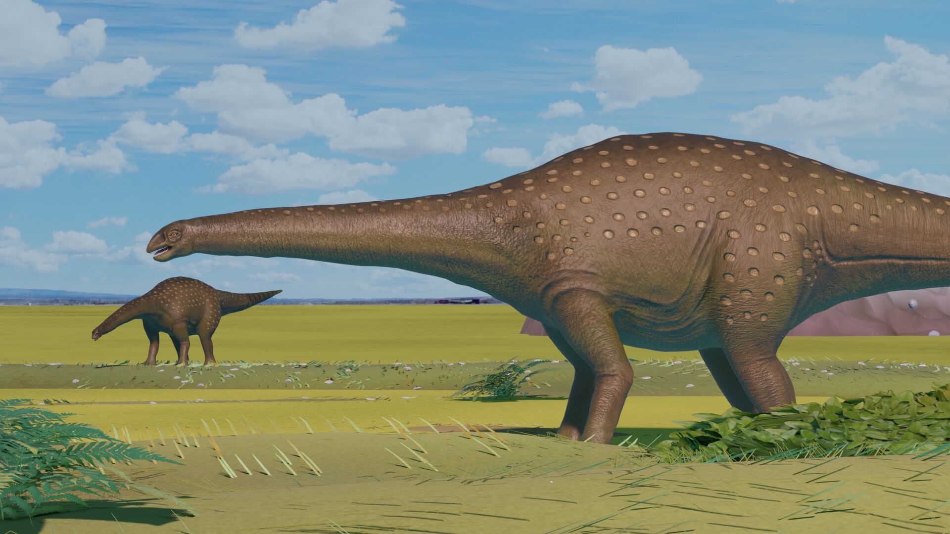 Puzzlopedia | Puzzle Saltasaurus (Cretaceous)