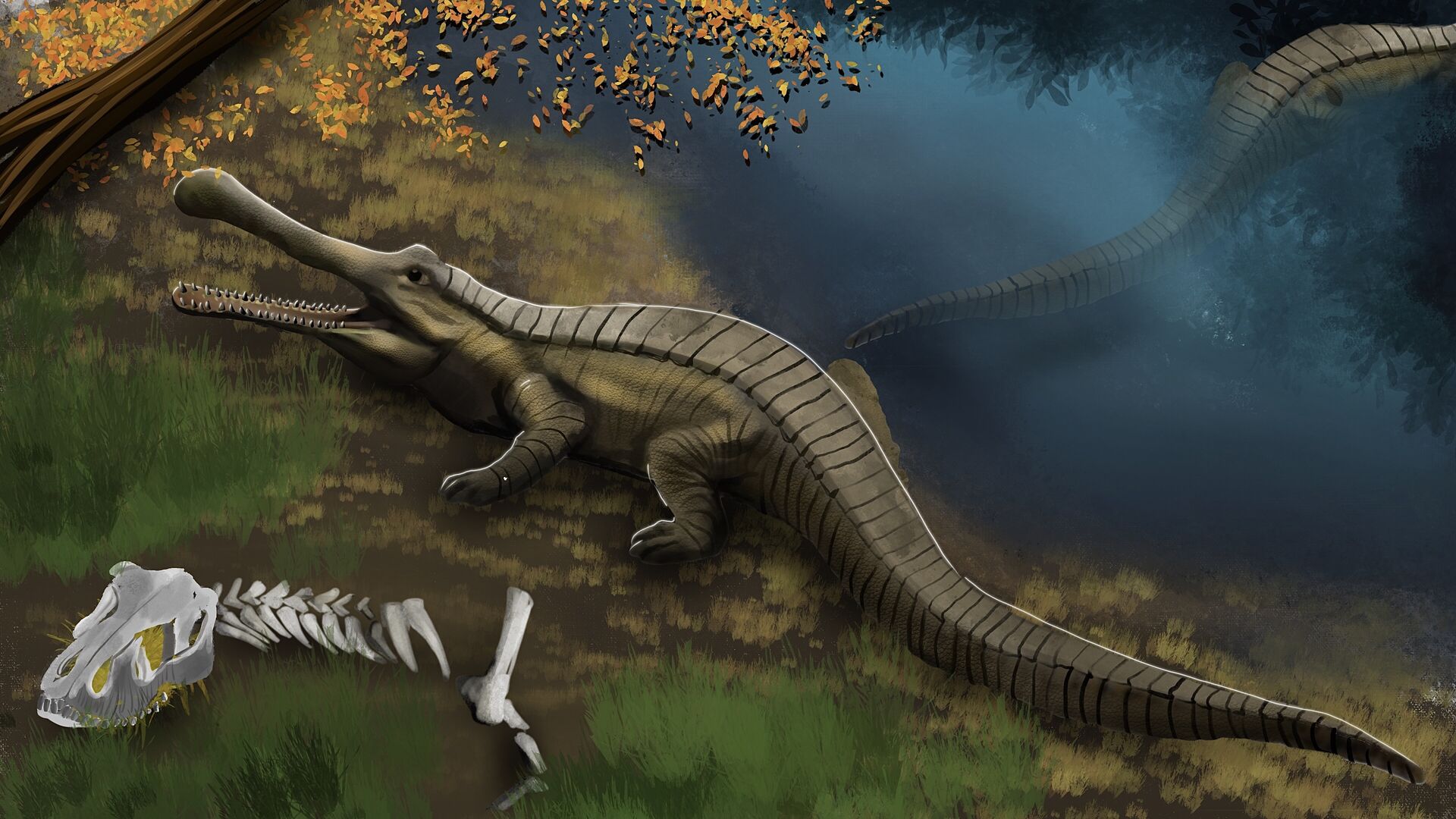 Puzzlopedia | Puzzle Sarcosuchus (Cretaceous)