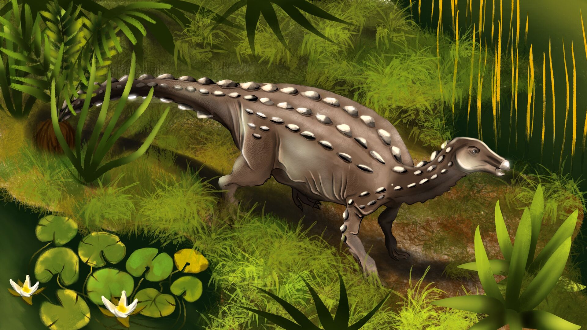 Puzzlopedia | Puzzle Scelidosaurus (Jurassic)