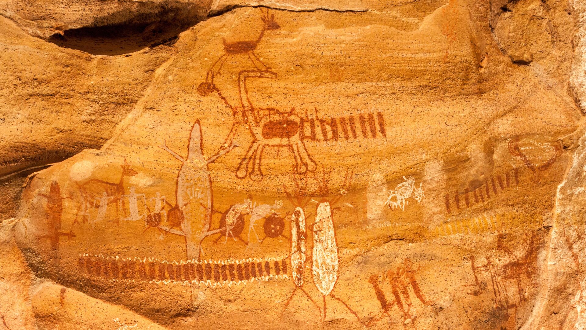 Puzzlopedia | Puzzle Serra da Capivara National Park