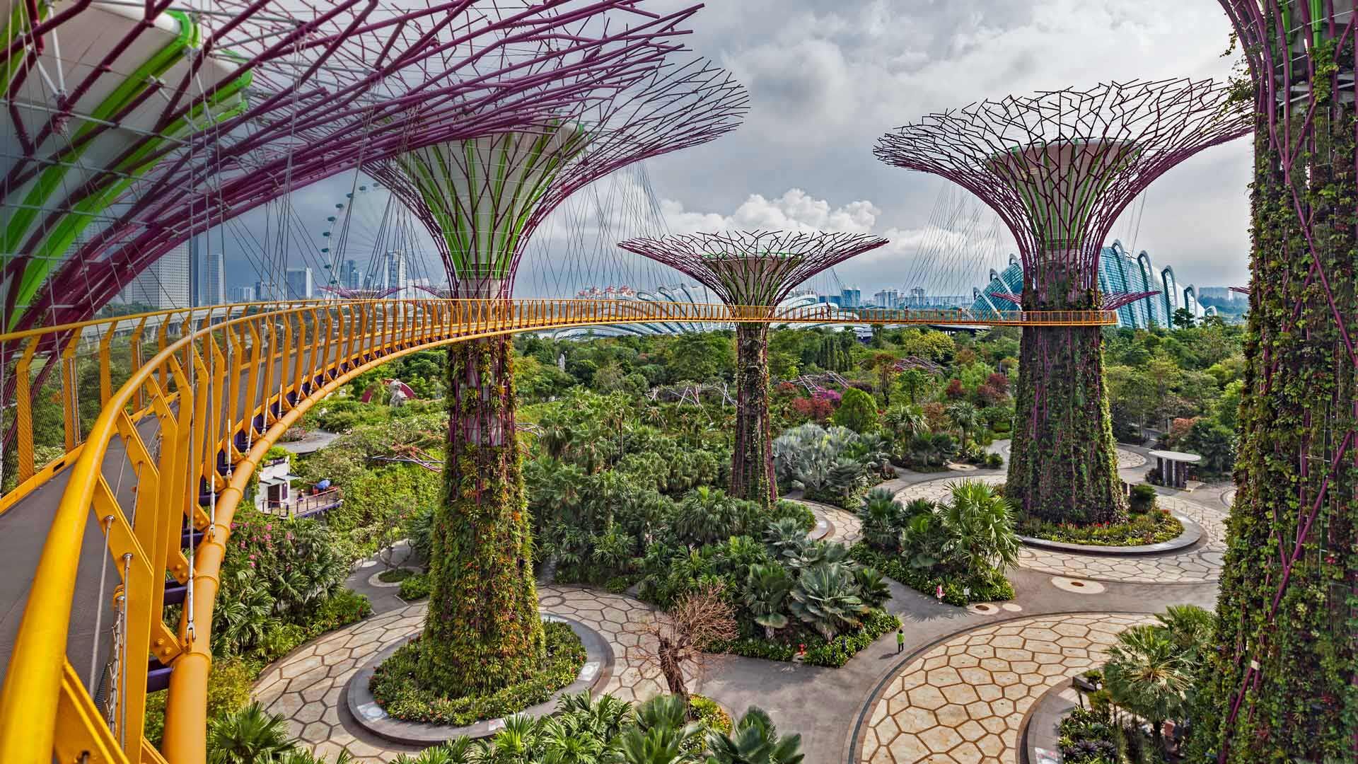 Puzzlopedia | Puzzle Supertree Grove, Gardens by the Bay