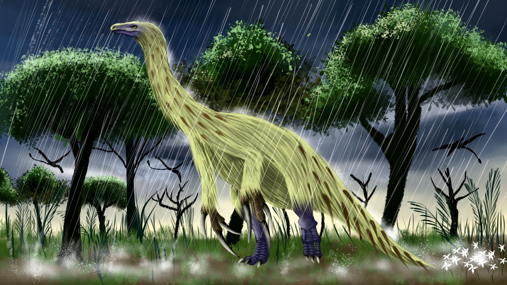Puzzlopedia | Puzzle Therizinosaurus (Cretaceous)