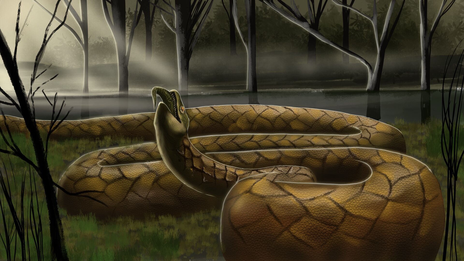 Puzzlopedia | Puzzle Titanoboa (Cenozoic Era)