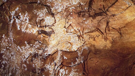 Puzzlopedia | Puzzle Cave of Niaux