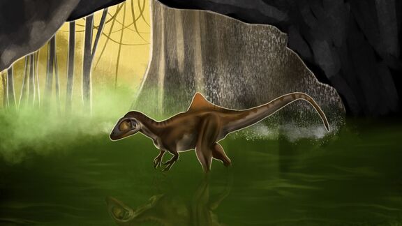 Puzzlopedia | Puzzle Concavenator (Cretaceous)