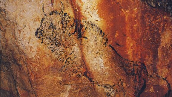 Puzzlopedia | Puzzle Cosquer cave