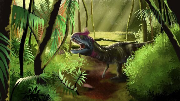 Puzzlopedia | Puzzle Cryolophosaurus (Jurassic)