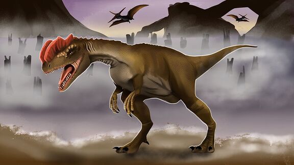 Puzzlopedia | Series Predators