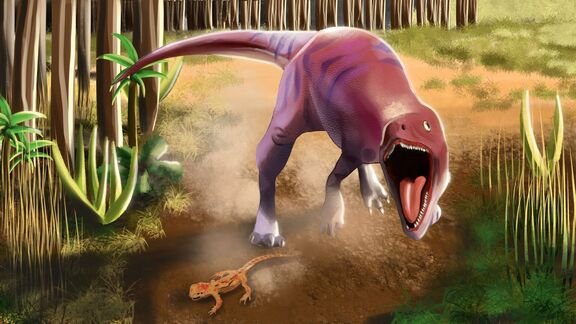 Puzzlopedia | Puzzle Eoraptor (Triassic)