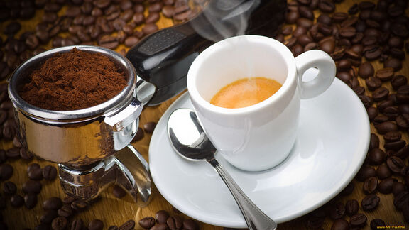 Puzzlopedia | Collection Espresso