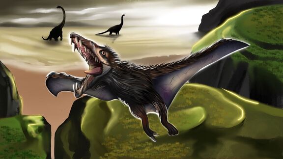 Puzzlopedia | Puzzle Eudimorphodon (Triassic)