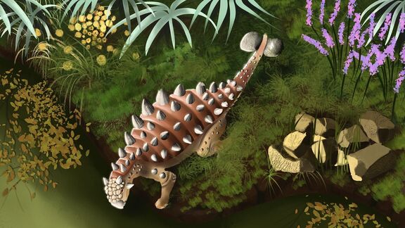 Puzzlopedia | Puzzle Euoplocephalus (Cretaceous)