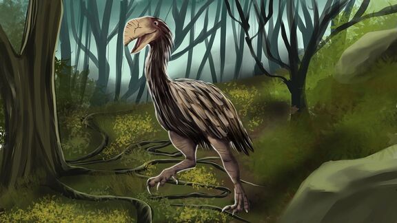 Puzzlopedia | Puzzle Gastornis (Cenozoic Era)