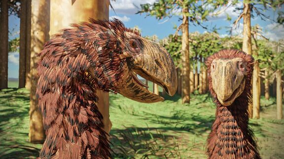 Puzzlopedia | Puzzle Gastornis (Cenozoic)