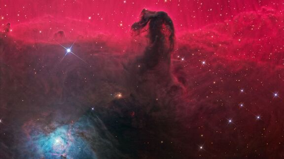 Puzzlopedia | Puzzle Horsehead Nebula