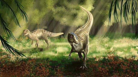 Puzzlopedia | Puzzle Hypsilophodon (Cretaceous)