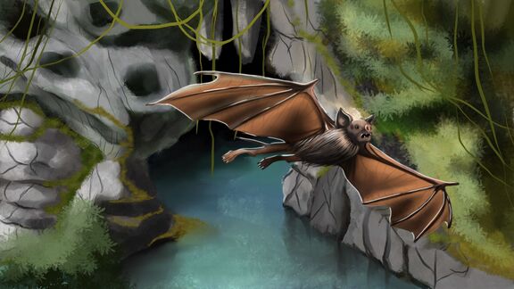 Puzzlopedia | Puzzle Icaronycteris (Cenozoic Era)