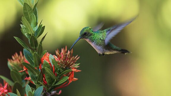 Puzzlopedia | Collection Keeping warm