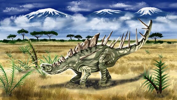 Puzzlopedia | Puzzle Kentrosaurus (Jurassic)