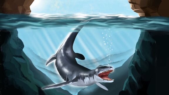Puzzlopedia | Collection Liopleurodon (Jurassic)