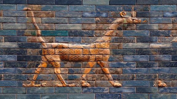 Puzzlopedia | Collection Mushhushshu-dragon