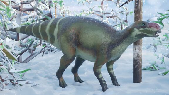 Puzzlopedia | Collection Muttaburrasaurus (Cretaceous)